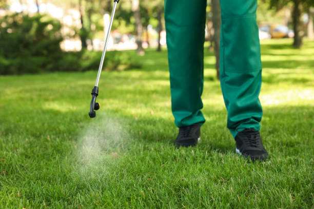 Best Pest Control Near Me  in Girard, IL