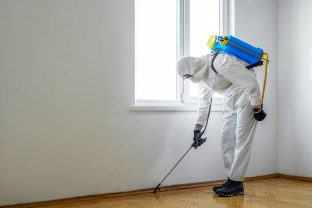 Best Rat Extermination Near Me  in Girard, IL
