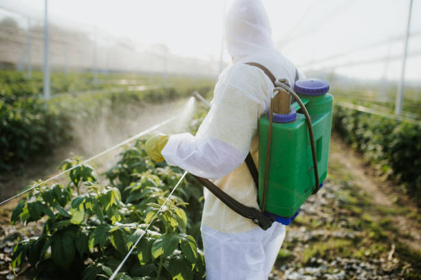 Best Exterminator Services  in Girard, IL
